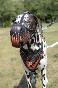 Hundegeschirr aus Leder mit Design Flamme | Dalmatiner Geschirr